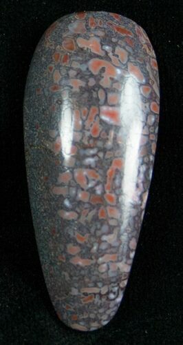 Agatized Dinosaur Bone Cab #7238